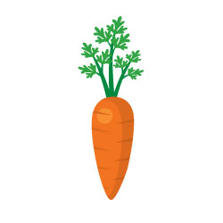 carotine fresche