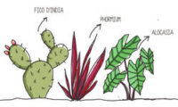 progettazione_HD